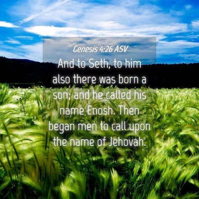 Picture 04 - Genesis 4:26 ASV - And to Seth, to him also there was born a son; - Bible Verse Picture