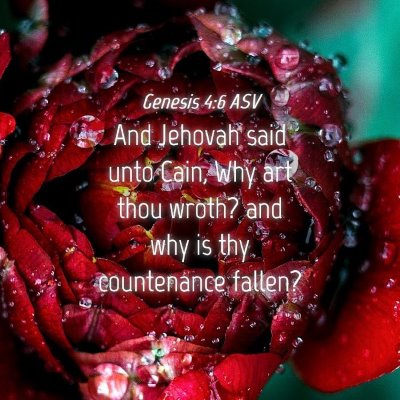 Picture 04 - Genesis 4:6 ASV - And Jehovah said unto Cain, Why art thou wroth? - Bible Verse Picture