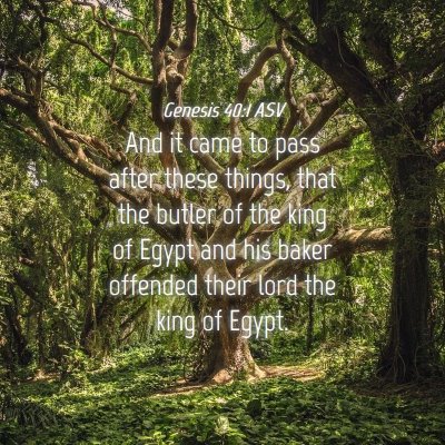 Picture 04 - Genesis 40:1 ASV - And it came to pass after these things, that the - Bible Verse Picture