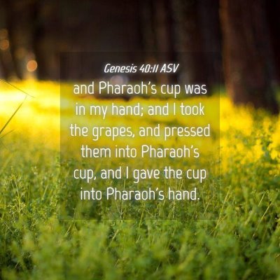 Picture 04 - Genesis 40:11 ASV - and Pharaoh's cup was in my hand; and I took the - Bible Verse Picture