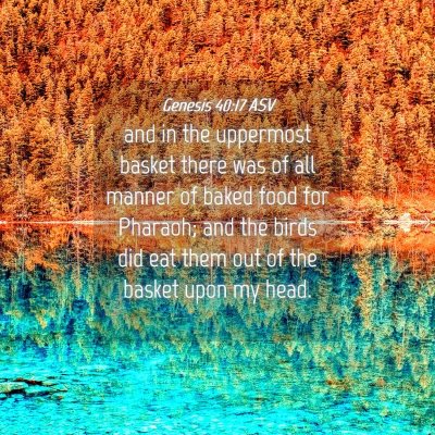Picture 04 - Genesis 40:17 ASV - and in the uppermost basket there was of all - Bible Verse Picture