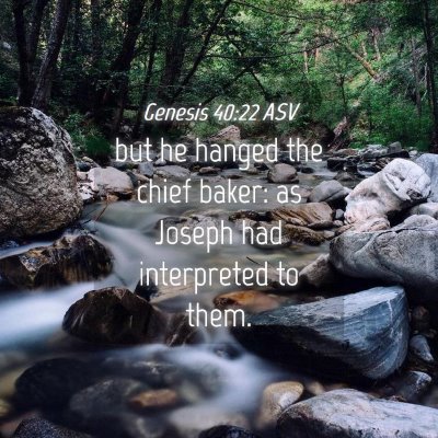 Picture 04 - Genesis 40:22 ASV - but he hanged the chief baker: as Joseph had - Bible Verse Picture