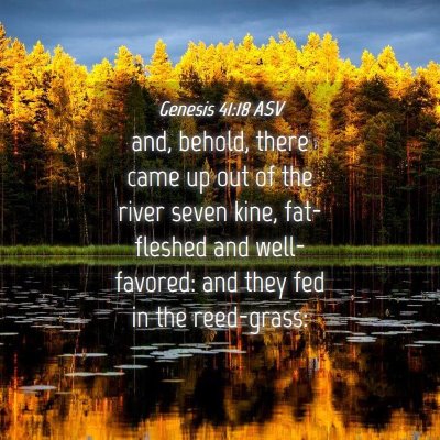 Picture 04 - Genesis 41:18 ASV - and, behold, there came up out of the river seven - Bible Verse Picture