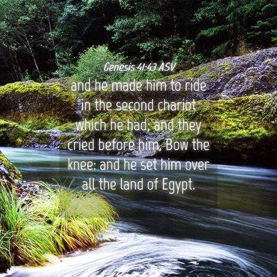 Picture 04 - Genesis 41:43 ASV - and he made him to ride in the second chariot - Bible Verse Picture
