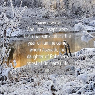 Picture 04 - Genesis 41:50 ASV - And unto Joseph were born two sons before the - Bible Verse Picture