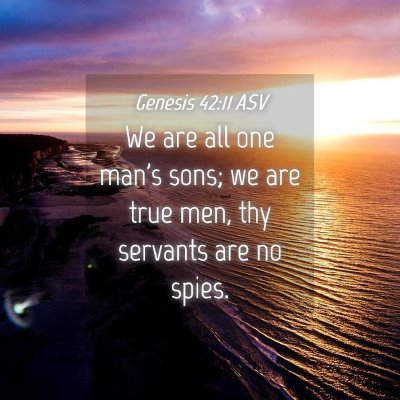 Picture 04 - Genesis 42:11 ASV - We are all one man's sons; we are true men, thy - Bible Verse Picture