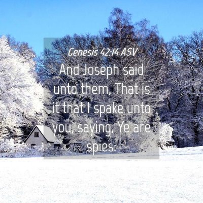 Picture 04 - Genesis 42:14 ASV - And Joseph said unto them, That is it that I - Bible Verse Picture