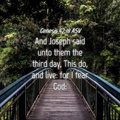 Picture 04 - Genesis 42:18 ASV - And Joseph said unto them the third day, This do, - Bible Verse Picture