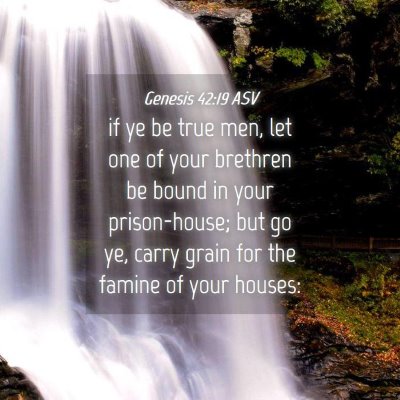 Picture 04 - Genesis 42:19 ASV - if ye be true men, let one of your brethren be - Bible Verse Picture