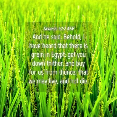 Picture 04 - Genesis 42:2 ASV - And he said, Behold, I have heard that there is - Bible Verse Picture