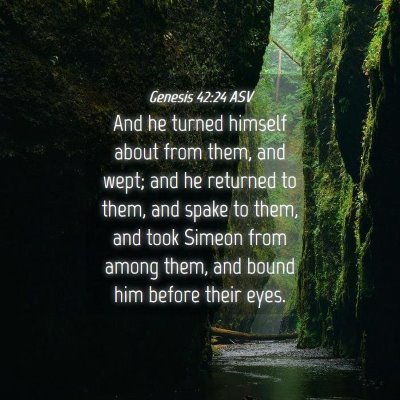 Picture 04 - Genesis 42:24 ASV - And he turned himself about from them, and wept; - Bible Verse Picture