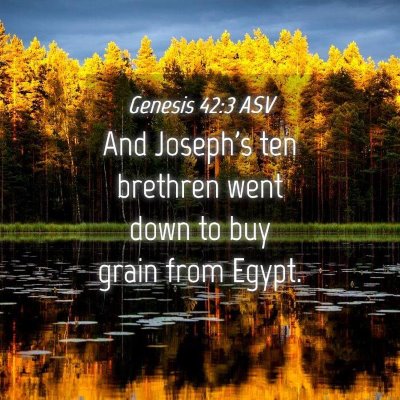 Picture 04 - Genesis 42:3 ASV - And Joseph's ten brethren went down to buy grain - Bible Verse Picture