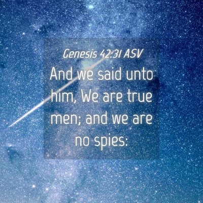 Picture 04 - Genesis 42:31 ASV - And we said unto him, We are true men; and we are - Bible Verse Picture