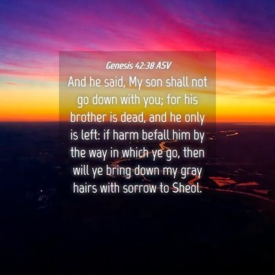 Picture 04 - Genesis 42:38 ASV - And he said, My son shall not go down with you; - Bible Verse Picture