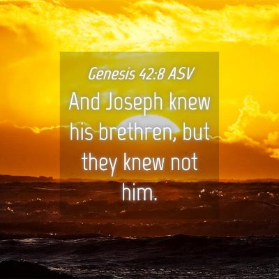 Picture 04 - Genesis 42:8 ASV - And Joseph knew his brethren, but they knew not - Bible Verse Picture