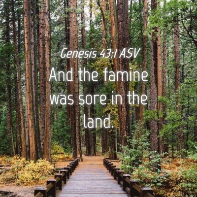 Picture 04 - Genesis 43:1 ASV - And the famine was sore in the - Bible Verse Picture