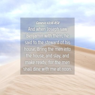 Picture 04 - Genesis 43:16 ASV - And when Joseph saw Benjamin with them, he said - Bible Verse Picture