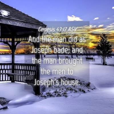 Picture 04 - Genesis 43:17 ASV - And the man did as Joseph bade; and the man - Bible Verse Picture