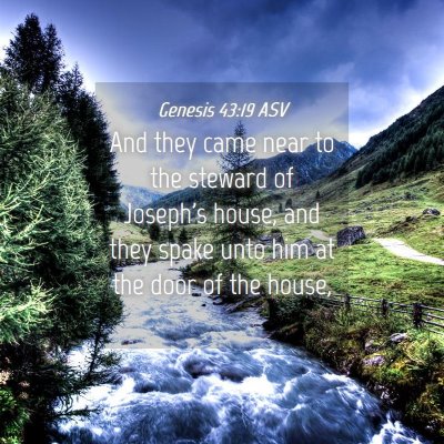 Picture 04 - Genesis 43:19 ASV - And they came near to the steward of Joseph's - Bible Verse Picture