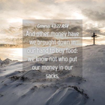 Picture 04 - Genesis 43:22 ASV - And other money have we brought down in our hand - Bible Verse Picture