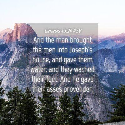 Picture 04 - Genesis 43:24 ASV - And the man brought the men into Joseph's house, - Bible Verse Picture