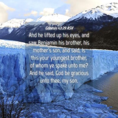 Picture 04 - Genesis 43:29 ASV - And he lifted up his eyes, and saw Benjamin his - Bible Verse Picture