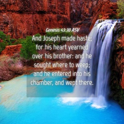 Picture 04 - Genesis 43:30 ASV - And Joseph made haste; for his heart yearned over - Bible Verse Picture