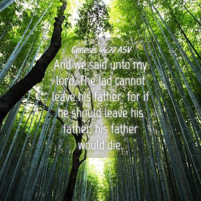 Picture 04 - Genesis 44:22 ASV - And we said unto my lord, The lad cannot leave - Bible Verse Picture