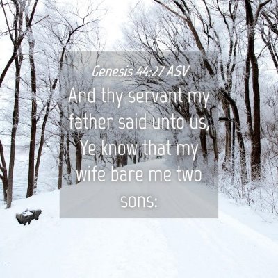 Picture 04 - Genesis 44:27 ASV - And thy servant my father said unto us, Ye know - Bible Verse Picture