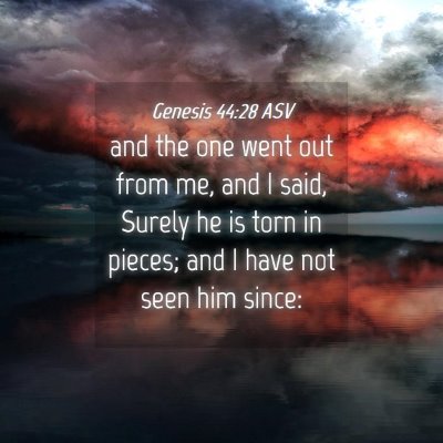 Picture 04 - Genesis 44:28 ASV - and the one went out from me, and I said, Surely - Bible Verse Picture