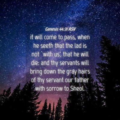 Picture 04 - Genesis 44:31 ASV - it will come to pass, when he seeth that the lad - Bible Verse Picture