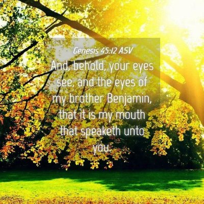 Picture 04 - Genesis 45:12 ASV - And, behold, your eyes see, and the eyes of my - Bible Verse Picture