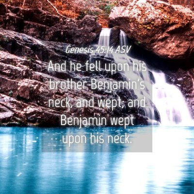 Picture 04 - Genesis 45:14 ASV - And he fell upon his brother Benjamin's neck, and - Bible Verse Picture