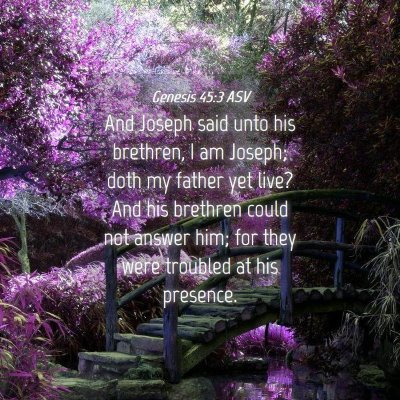 Picture 04 - Genesis 45:3 ASV - And Joseph said unto his brethren, I am Joseph; - Bible Verse Picture