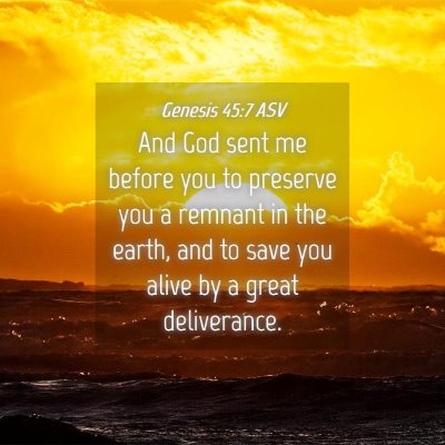 Picture 04 - Genesis 45:7 ASV - And God sent me before you to preserve you a - Bible Verse Picture