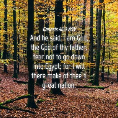 Picture 04 - Genesis 46:3 ASV - And he said, I am God, the God of thy father: - Bible Verse Picture