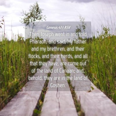 Picture 04 - Genesis 47:1 ASV - Then Joseph went in and told Pharaoh, and said, - Bible Verse Picture