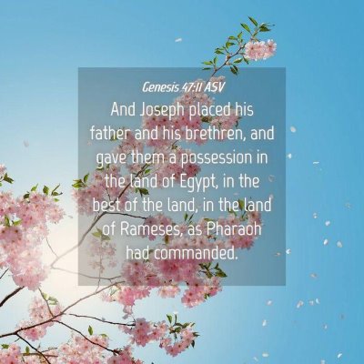 Picture 04 - Genesis 47:11 ASV - And Joseph placed his father and his brethren, - Bible Verse Picture