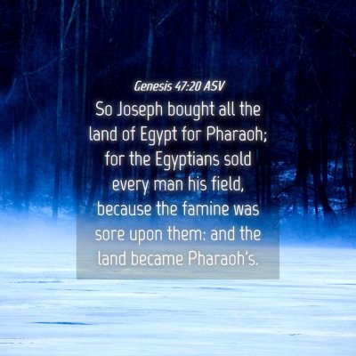 Picture 04 - Genesis 47:20 ASV - So Joseph bought all the land of Egypt for - Bible Verse Picture