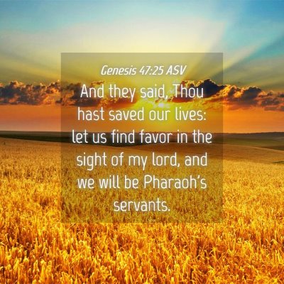 Picture 04 - Genesis 47:25 ASV - And they said, Thou hast saved our lives: let us - Bible Verse Picture