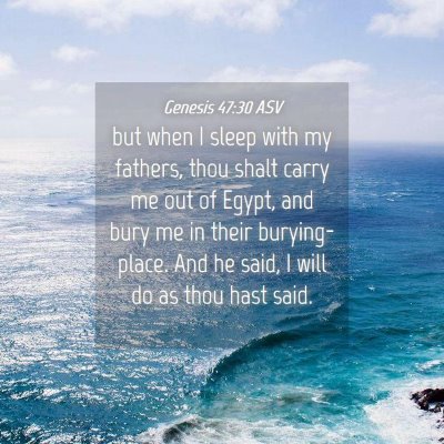 Picture 04 - Genesis 47:30 ASV - but when I sleep with my fathers, thou shalt - Bible Verse Picture