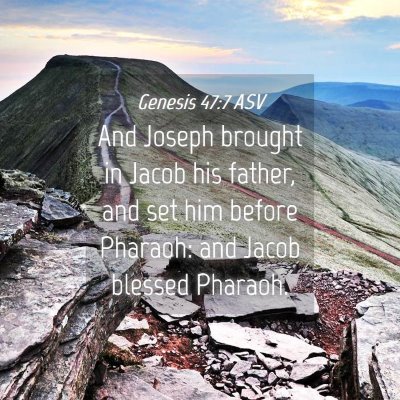 Picture 04 - Genesis 47:7 ASV - And Joseph brought in Jacob his father, and set - Bible Verse Picture