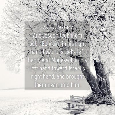 Picture 04 - Genesis 48:13 ASV - And Joseph took them both, Ephraim in his right - Bible Verse Picture