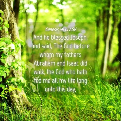 Picture 04 - Genesis 48:15 ASV - And he blessed Joseph, and said, The God before - Bible Verse Picture