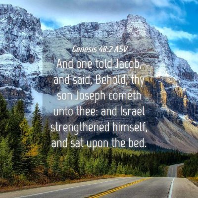 Picture 04 - Genesis 48:2 ASV - And one told Jacob, and said, Behold, thy son - Bible Verse Picture