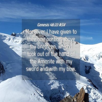 Picture 04 - Genesis 48:22 ASV - Moreover I have given to thee one portion above - Bible Verse Picture