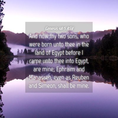 Picture 04 - Genesis 48:5 ASV - And now thy two sons, who were born unto thee in - Bible Verse Picture
