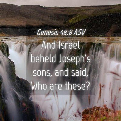 Picture 04 - Genesis 48:8 ASV - And Israel beheld Joseph's sons, and said, Who - Bible Verse Picture