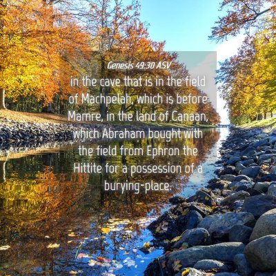 Picture 04 - Genesis 49:30 ASV - in the cave that is in the field of Machpelah, - Bible Verse Picture