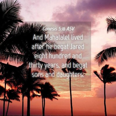 Picture 04 - Genesis 5:16 ASV - And Mahalalel lived after he begat Jared eight - Bible Verse Picture